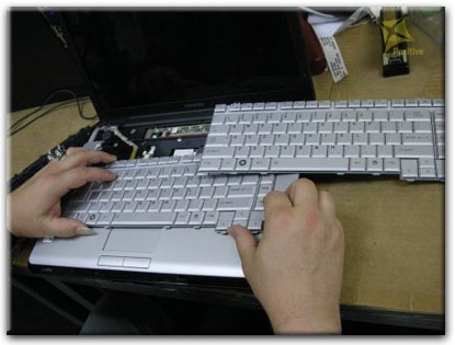 Ремонт клавиатуры на ноутбуке Toshiba в Тольятти